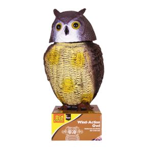 Action Owl